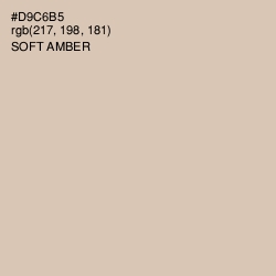 #D9C6B5 - Soft Amber Color Image